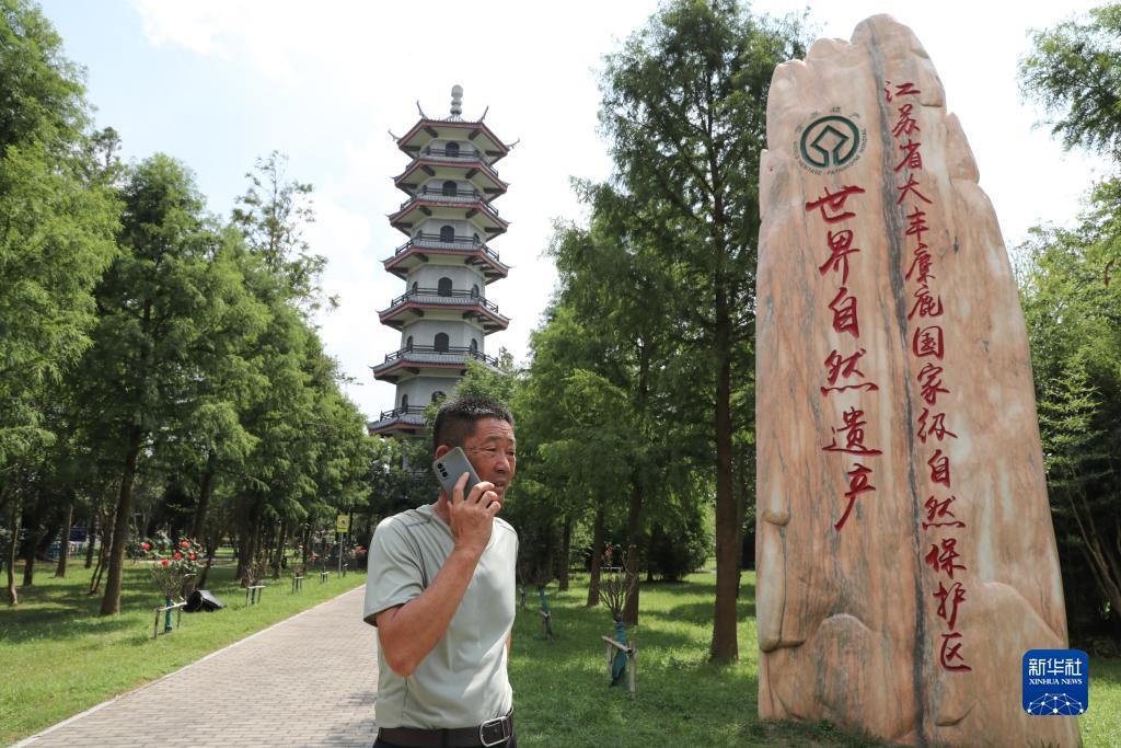 可以提钱的游戏