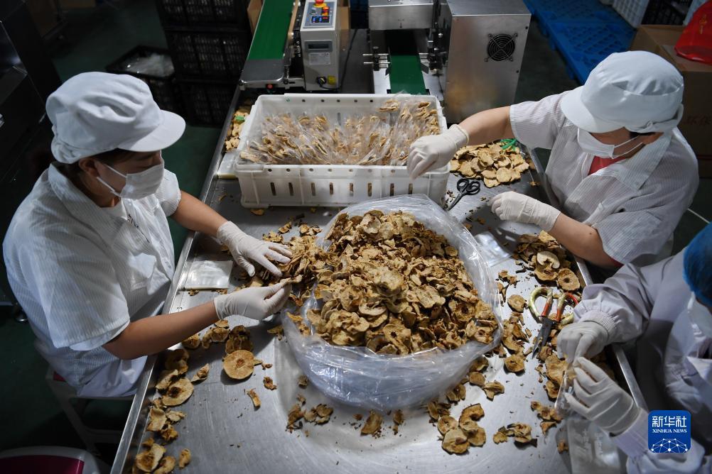 菠菜游戏单机